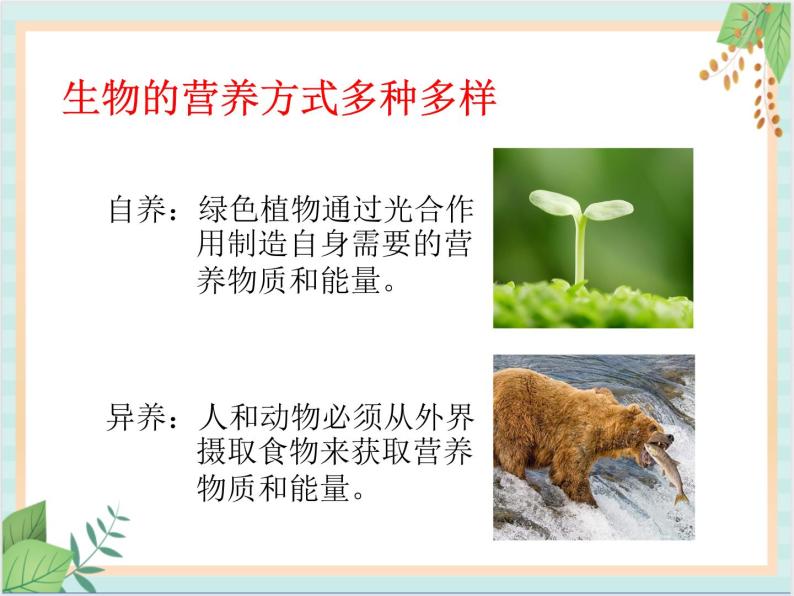 北京版七年级生物上册第四章 第四节  其他营养方式 课件+教案+素材02