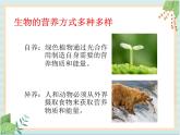 北京版七年级生物上册第四章 第四节  其他营养方式 课件+教案+素材