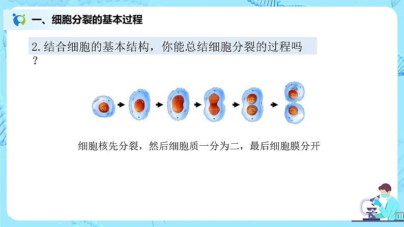 2.2.1《细胞通过分裂产生新细胞》（课件+教案+练习）07