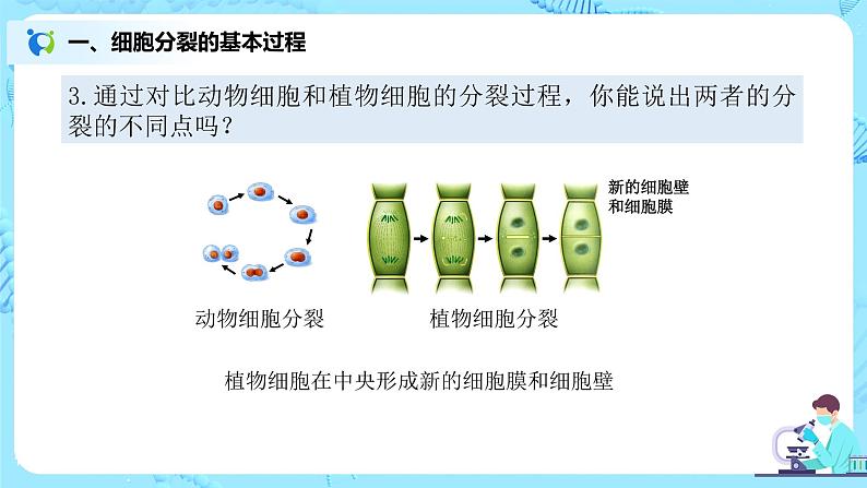 2.2.1《细胞通过分裂产生新细胞》（课件+教案+练习）08