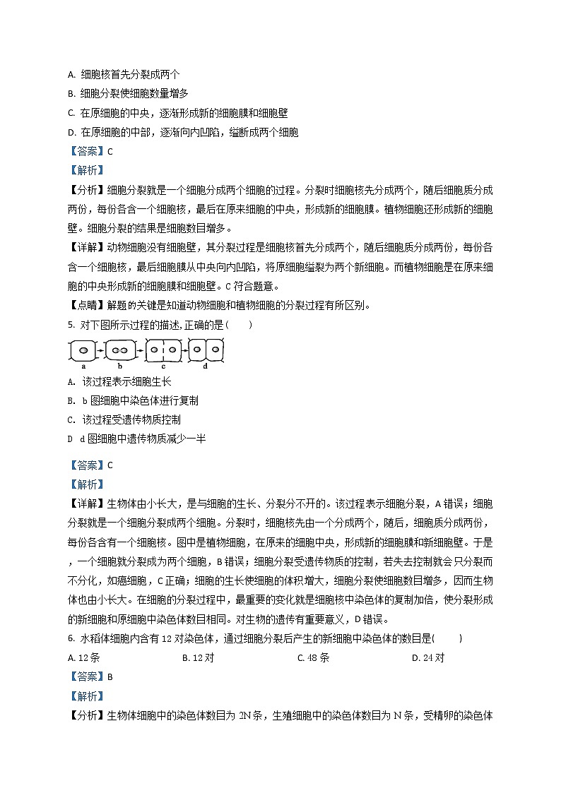 2.2.1《细胞通过分裂产生新细胞》（课件+教案+练习）02