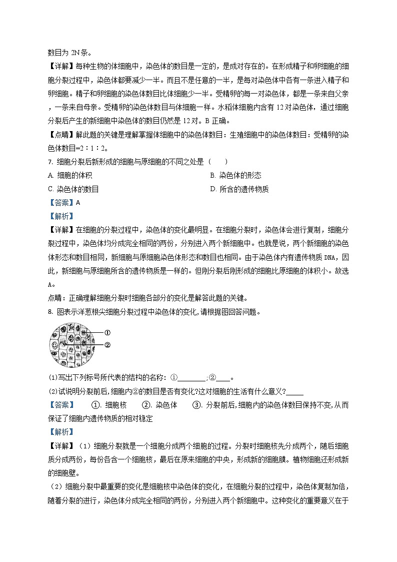 2.2.1《细胞通过分裂产生新细胞》（课件+教案+练习）03