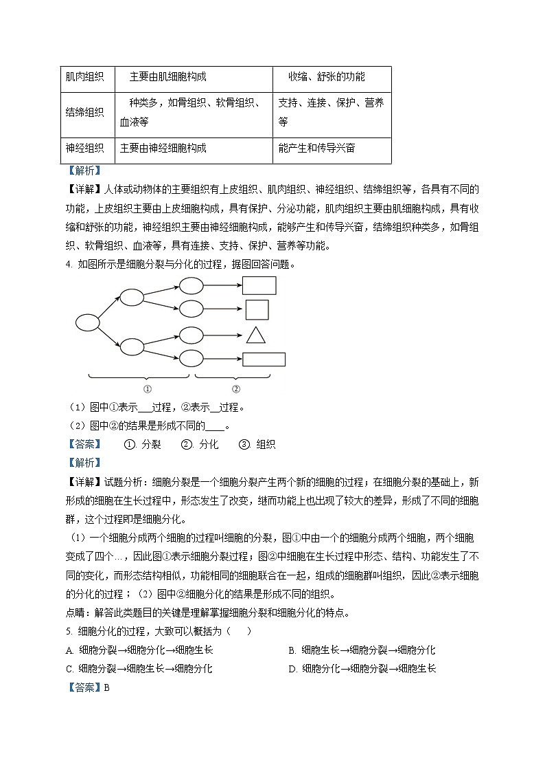 2.2.2《动物体的结构层次》（课件+教案+练习）02