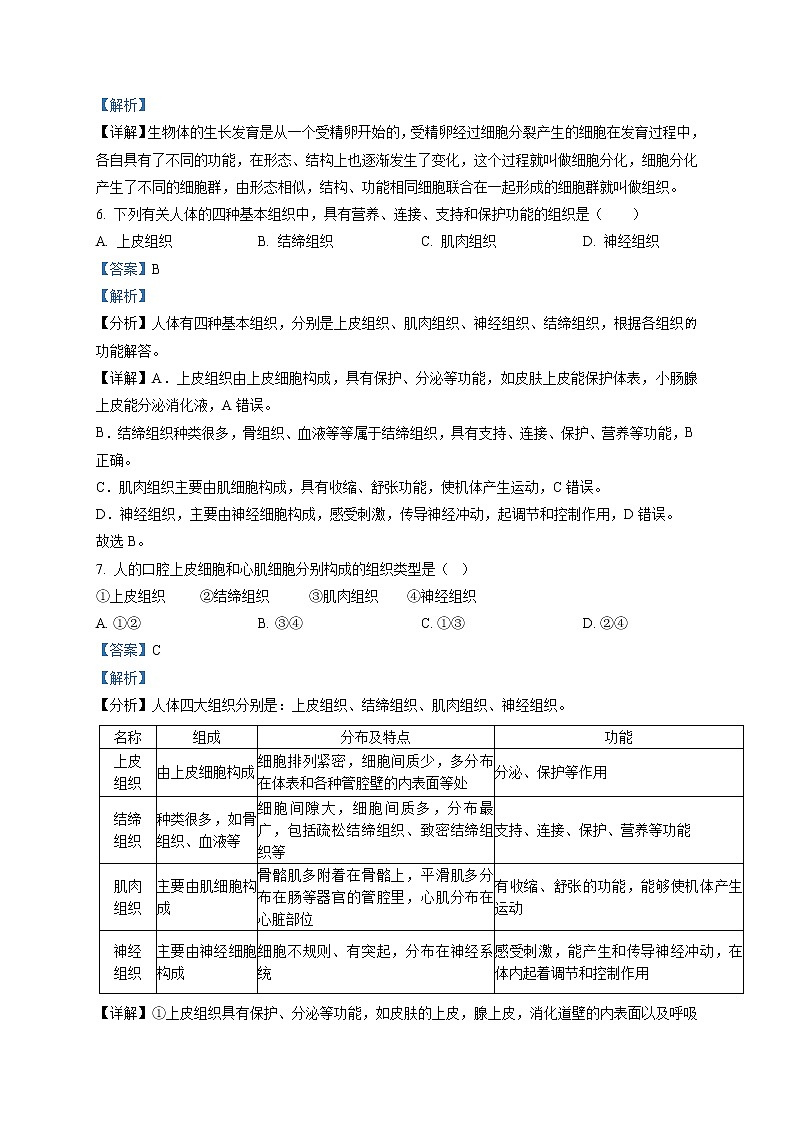 2.2.2《动物体的结构层次》（课件+教案+练习）03