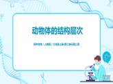 2.2.2《动物体的结构层次》（课件+教案+练习）