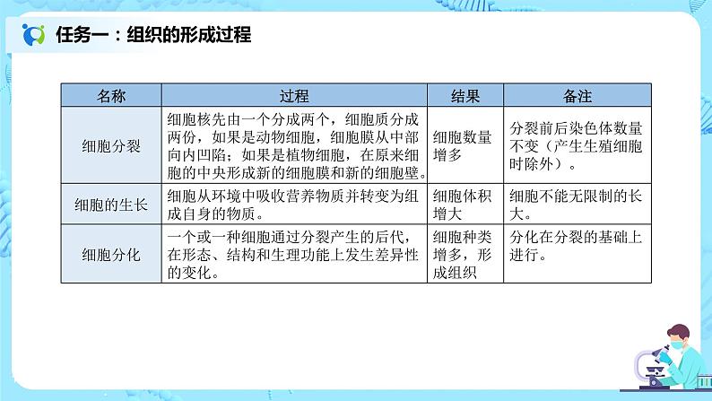 2.2.2《动物体的结构层次》（课件+教案+练习）08