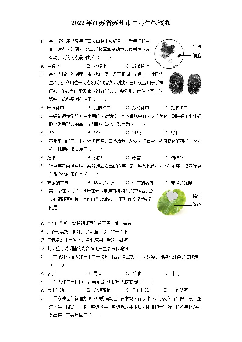 2022年江苏省苏州市中考生物试卷（含答案解析）01