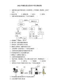 2022年湖北省宜昌市中考生物试卷（含答案解析）