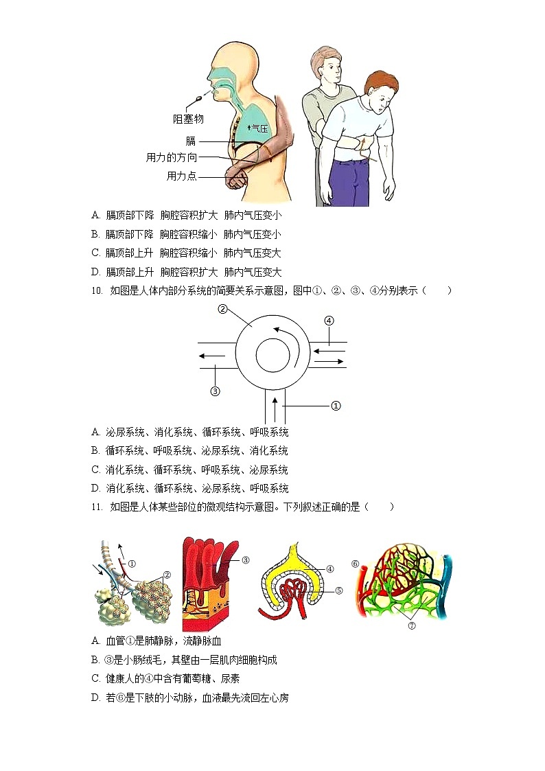 2022年湖北省宜昌市中考生物试卷（含答案解析）第3页