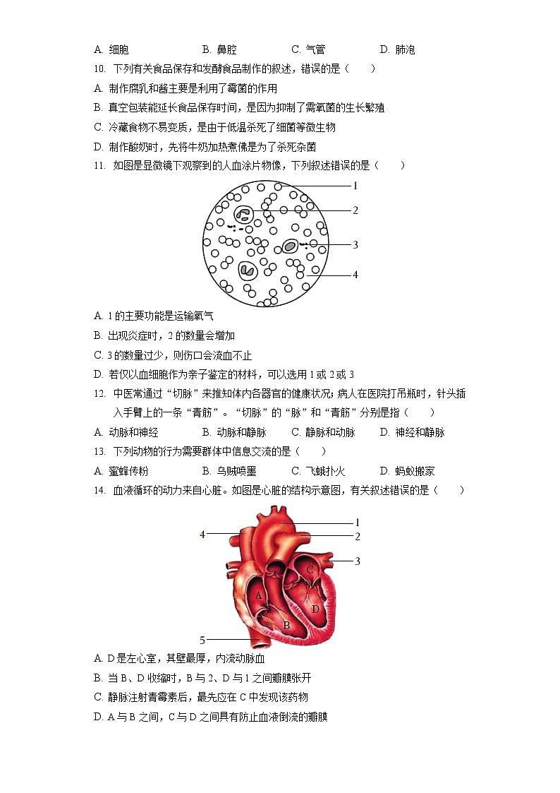 2022年山东省聊城市中考生物试卷（含答案解析）03