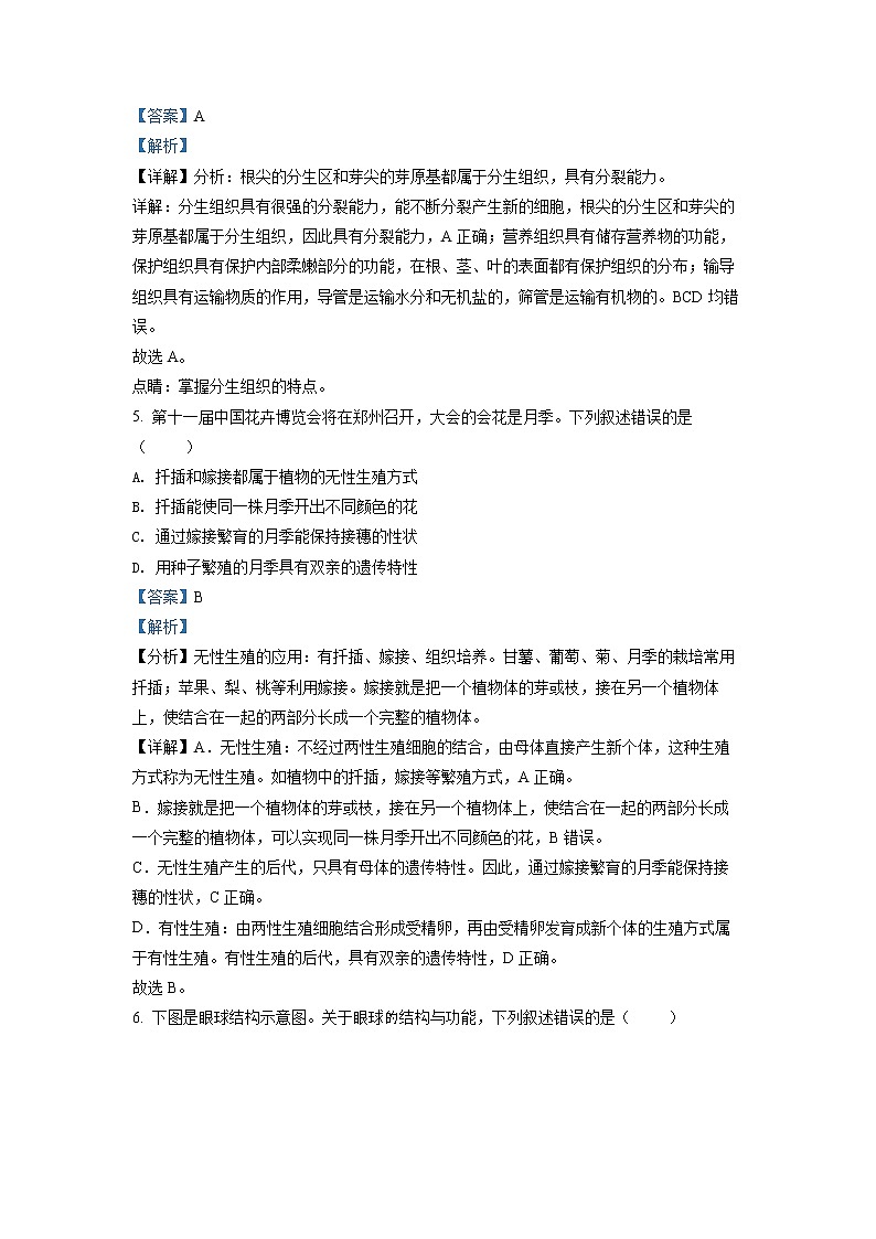 2022年河南省中考真题生物（答案）第3页