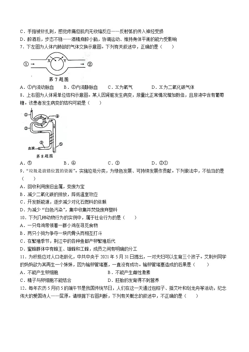 2022年湖北省荆州市中考生物真题(word版含答案)第2页