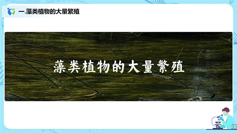 3.1.1《藻类、苔藓和蕨类植物》（课件+教案+练习）03