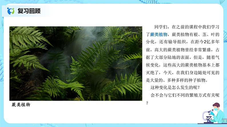 3.1.2《种子植物》（课件+教案+练习）02