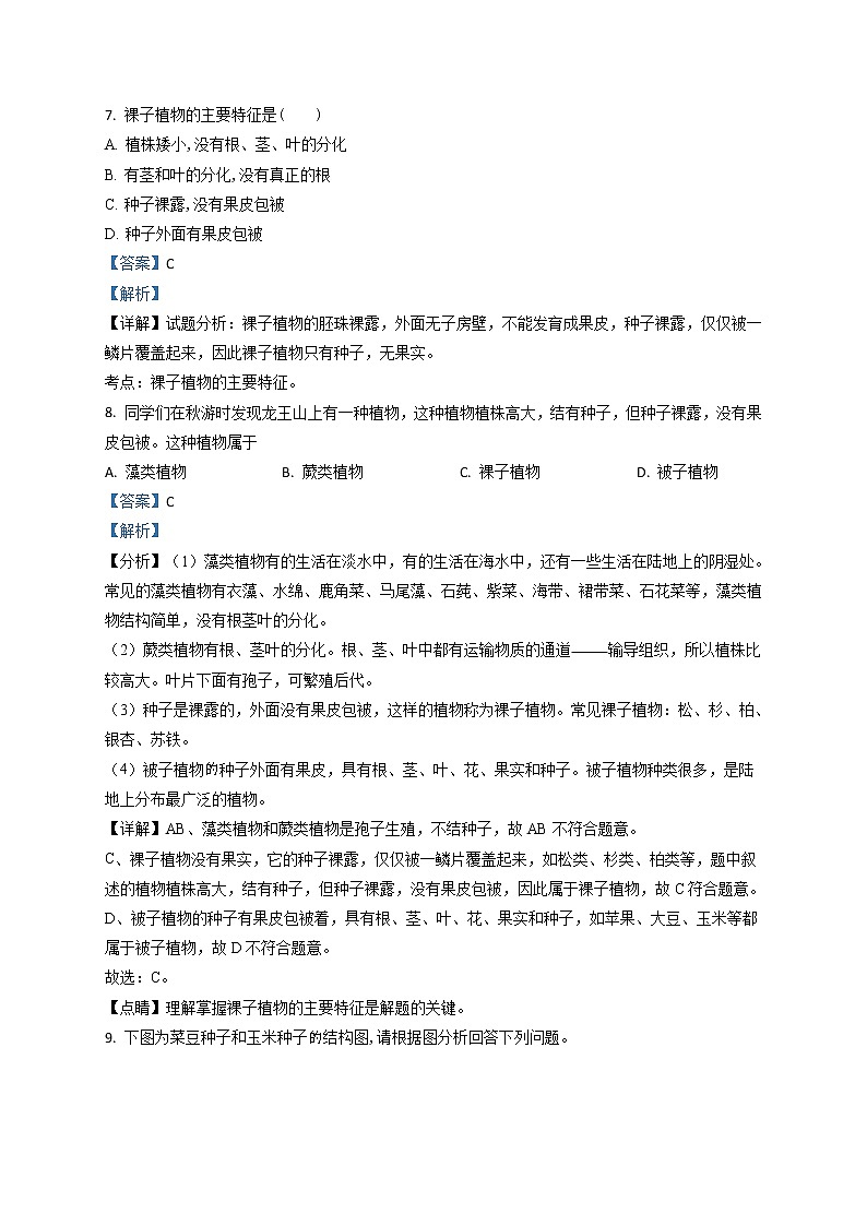 3.1.2《种子植物》（课件+教案+练习）03