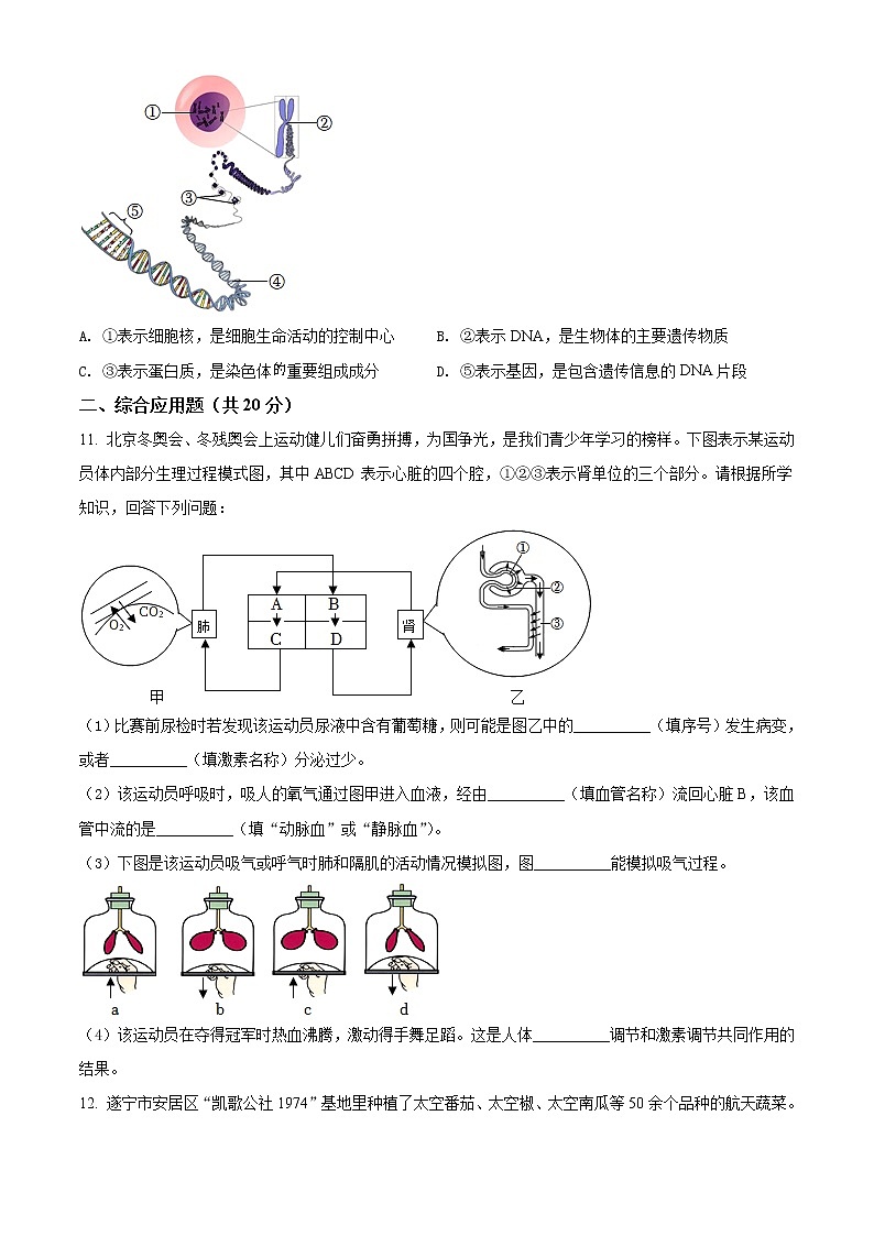 2022年四川省遂宁市中考生物试题03