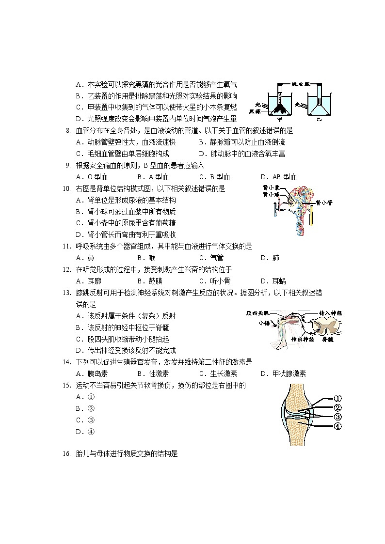 2021年北京市生物中考试卷无答案02