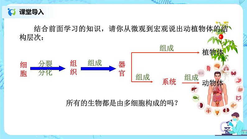 2.2.4《单细胞生物》（课件+教案+学案+练习）03