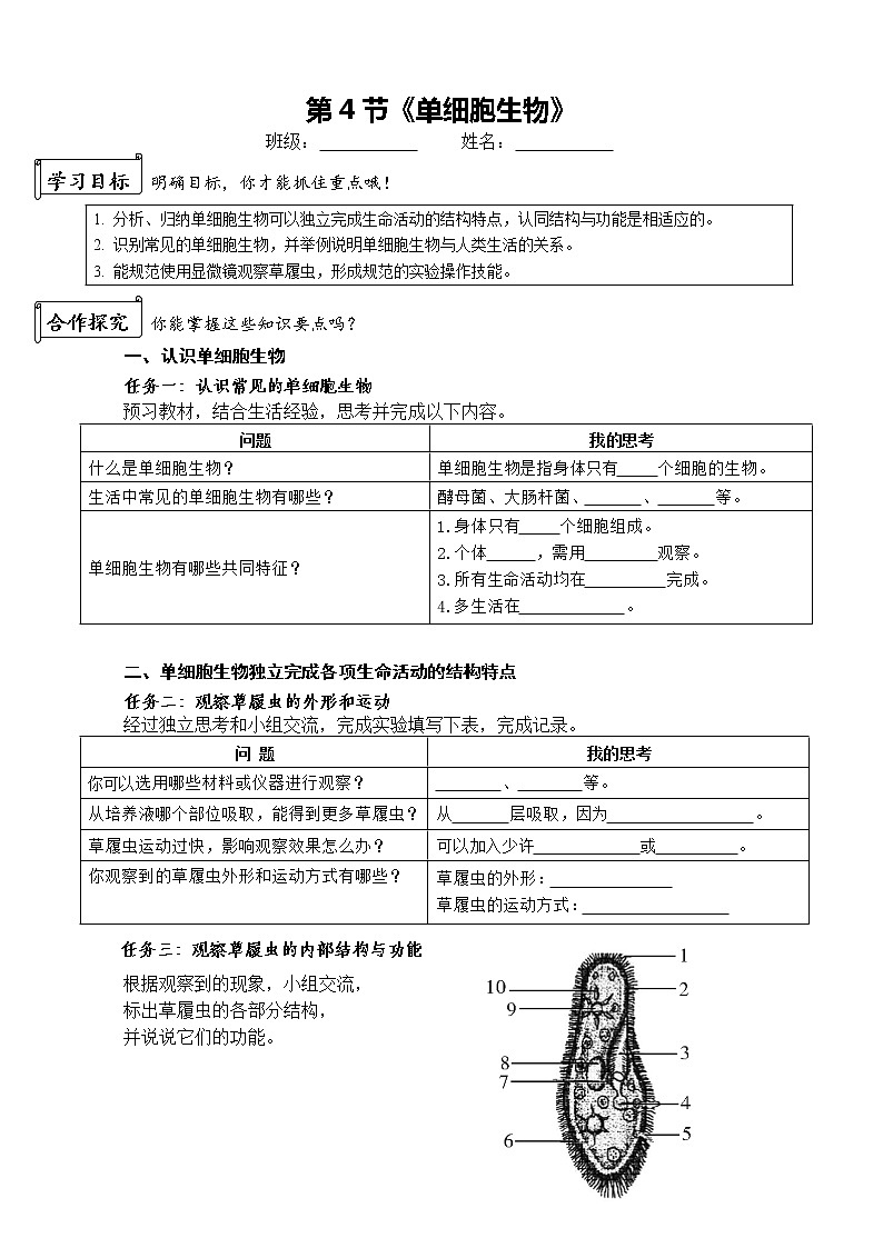 2.2.4《单细胞生物》（课件+教案+学案+练习）01
