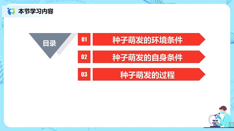 3.2.1《种子的萌发》（课件+教案+练习）03