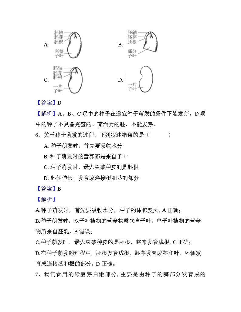 3.2.1《种子的萌发》（课件+教案+练习）03