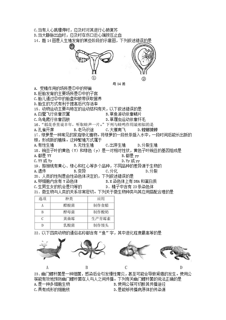 2022年广东省中考真题生物卷及答案（文字版）第2页