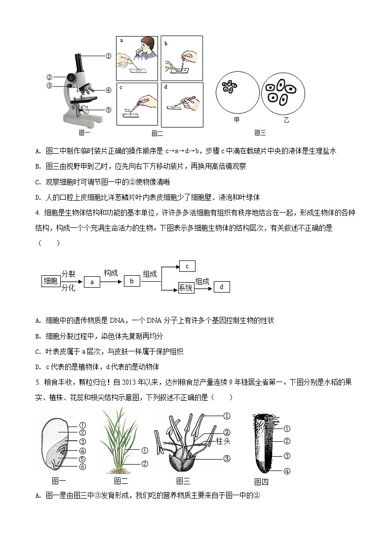 2022年四川省达州市中考真题生物卷及答案（文字版）02