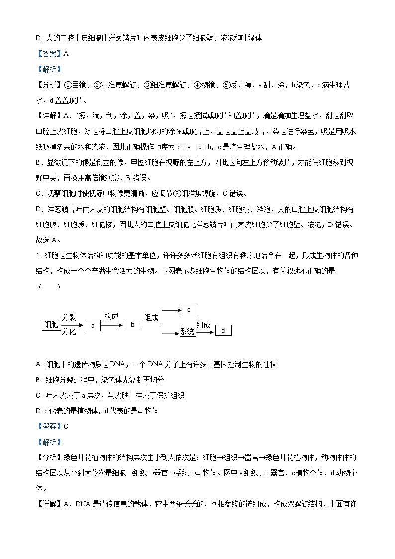 2022年四川省达州市中考真题生物卷及答案（文字版）03
