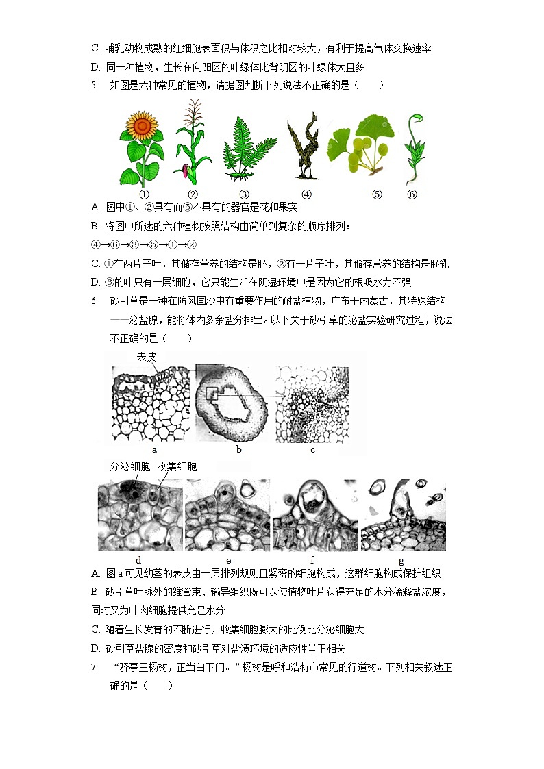 2022年内蒙古呼和浩特市中考生物试卷（含答案解析）02