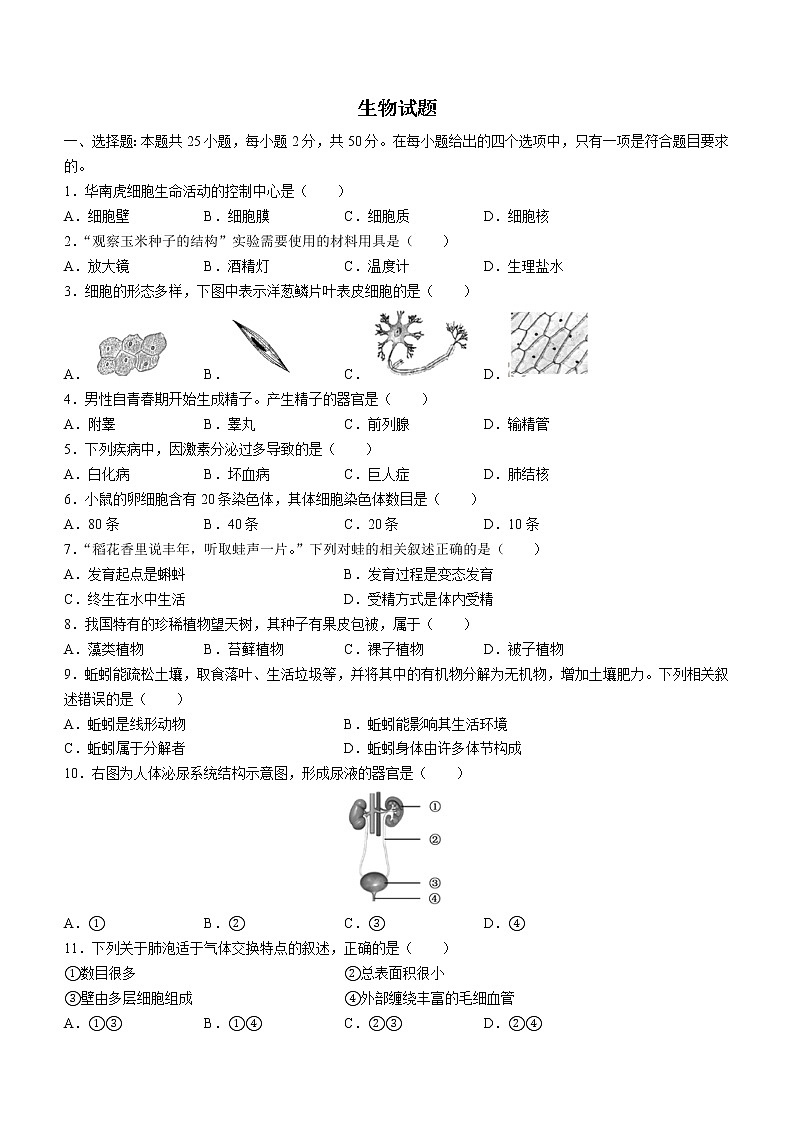 2022年福建省中考生物真题(word版含答案)第1页