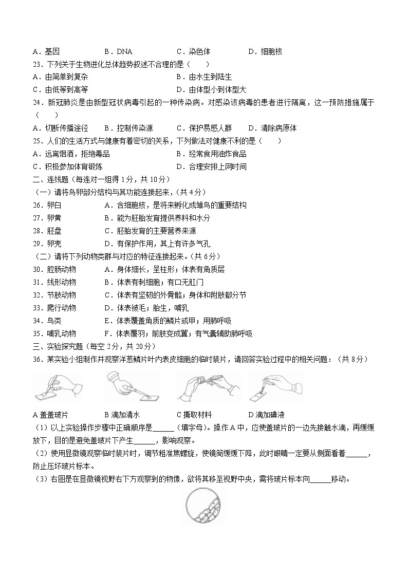 2022年黑龙江省齐齐哈尔市中考生物真题(word版含答案)03