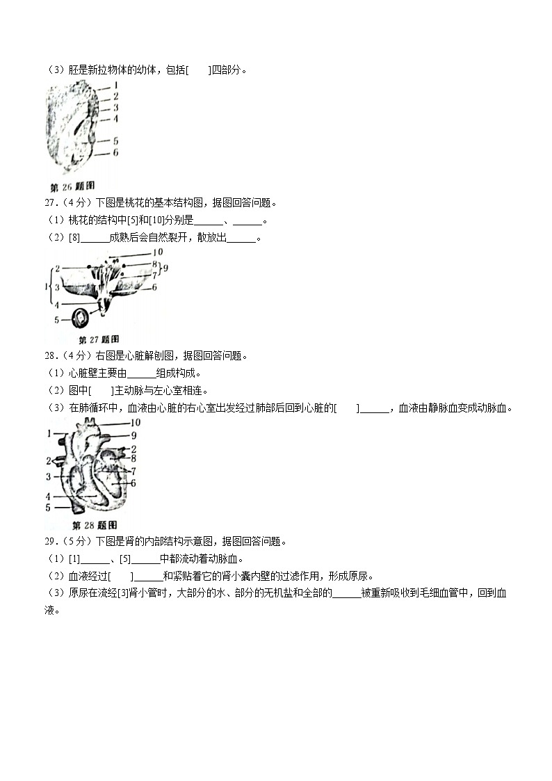 2022年黑龙江省牡丹江市中考二模生物试题(word版无答案)03