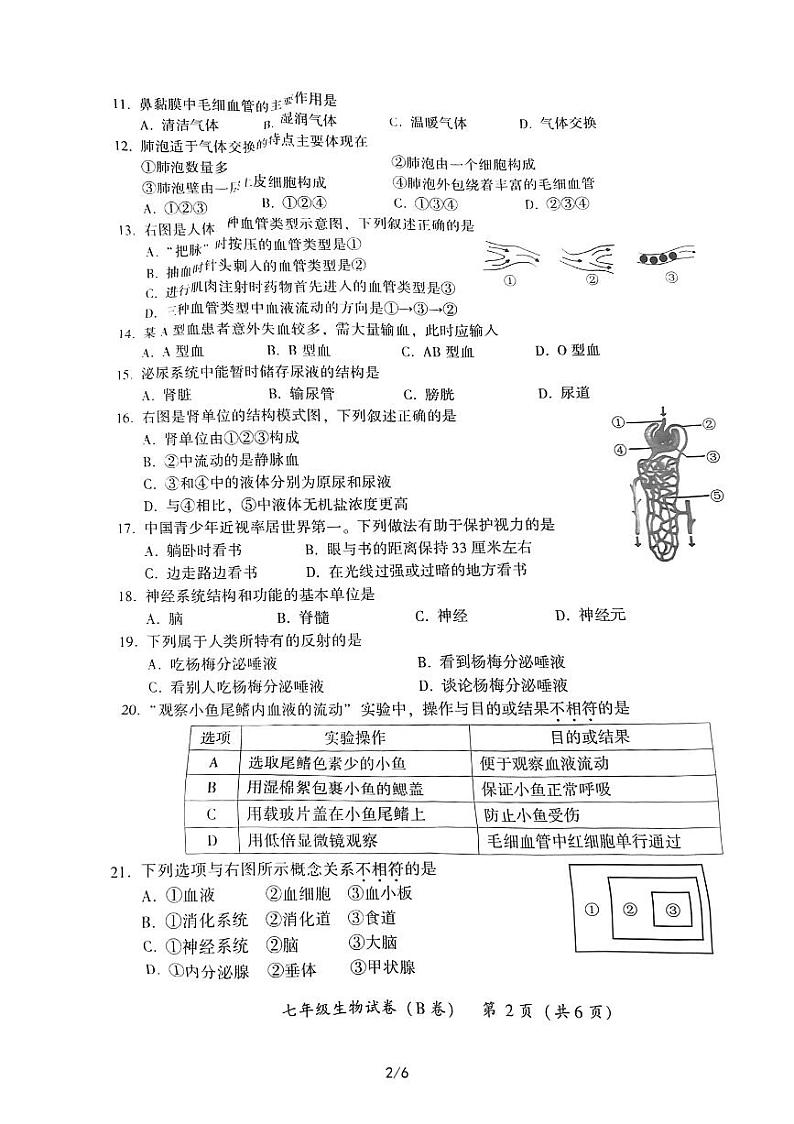 漳州市2021-2022学年七年级下册生物期末试卷（含答案）第2页