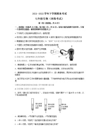 河南省郑州市2021-2022学年七年级下学期期末考试生物试卷（无答案）