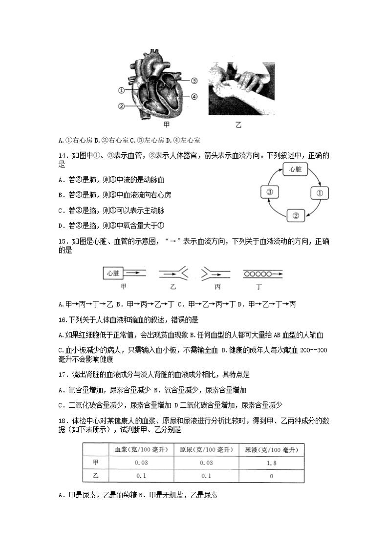 河南省郑州市2021-2022学年七年级下学期期末考试生物试卷（无答案）03