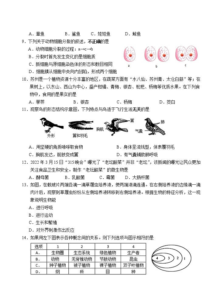 江苏省苏州市吴江区2021-2022学年七年级下学期期末生物试卷（无答案）第2页