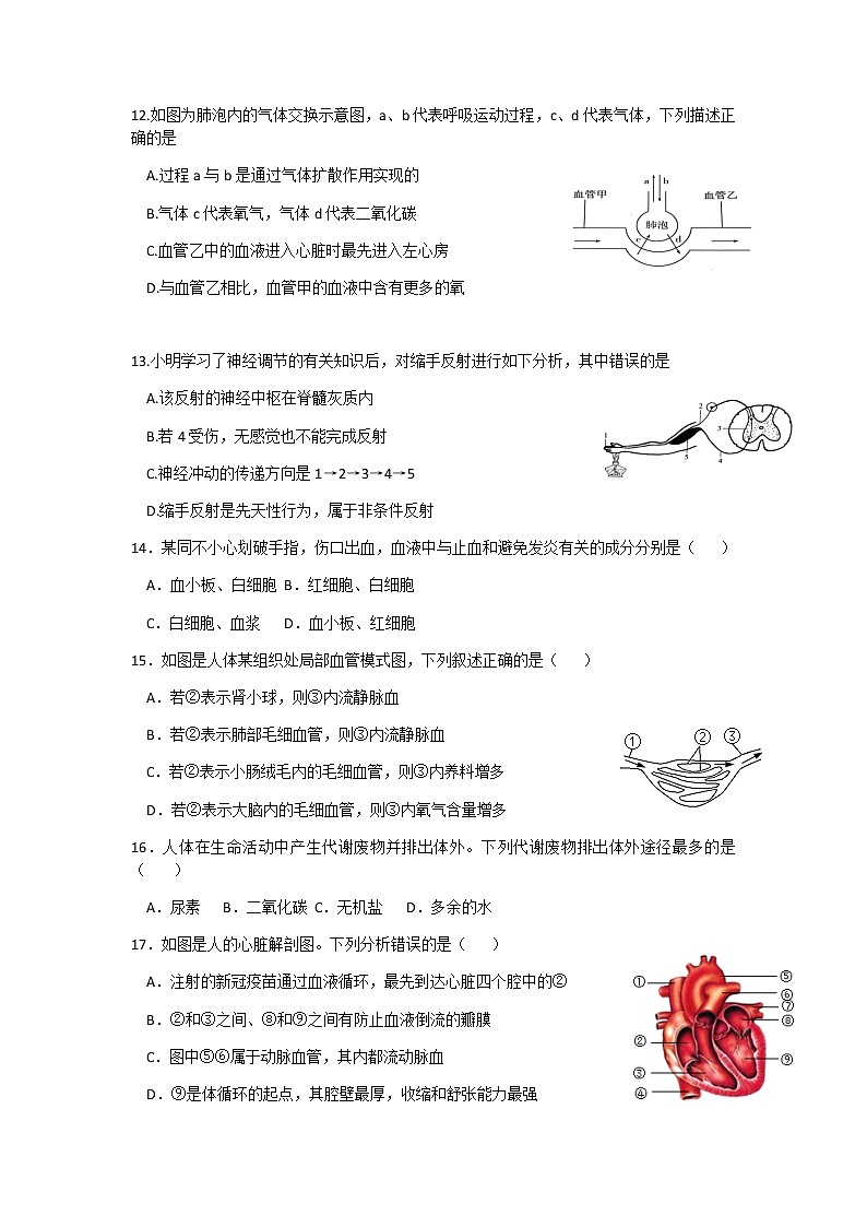 江苏省盐城市建湖县2021-2022学年七年级下学期期末生物试卷（无答案）第3页