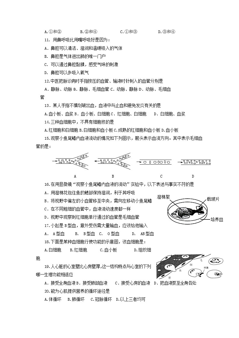 广东省广州市增城区2020-2021学年七年级下学期期末考试生物试卷（无答案）第2页