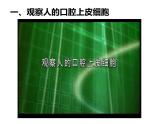 第二单元第一章第三节《动物细胞》课件