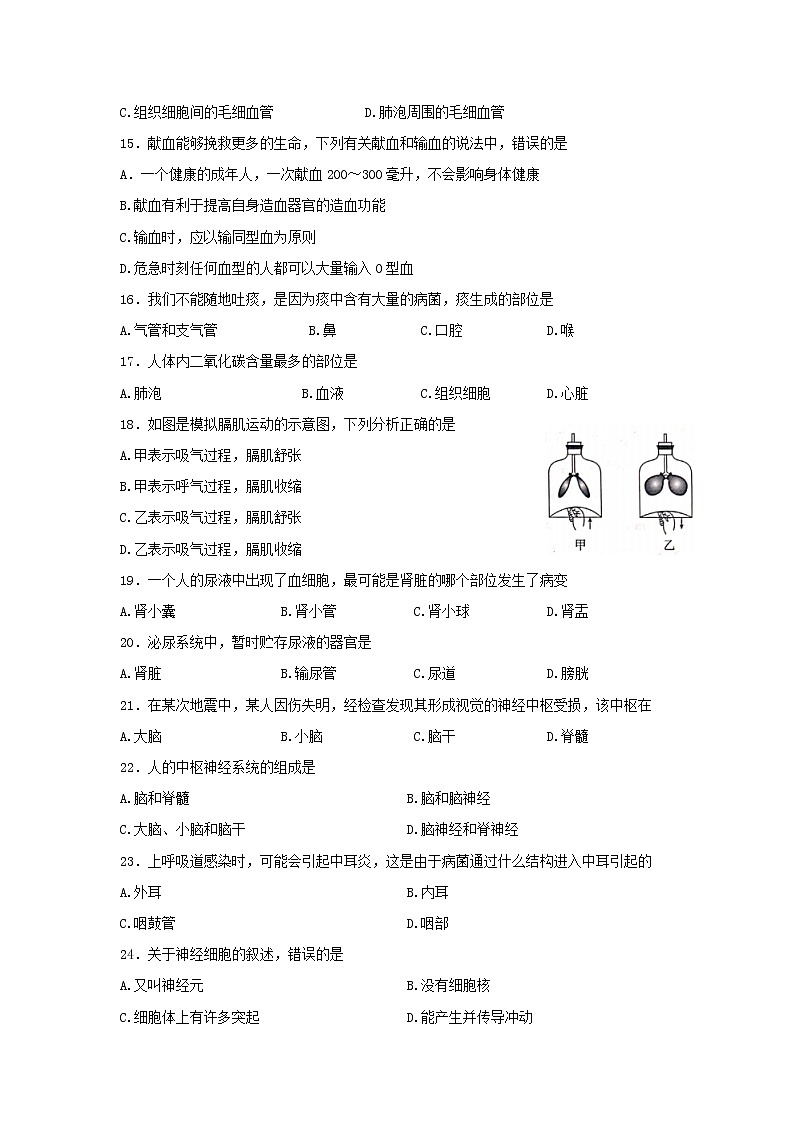 河北省承德市承德县2021-2022学年七年级下学期期末考试生物试题(word版含答案)03