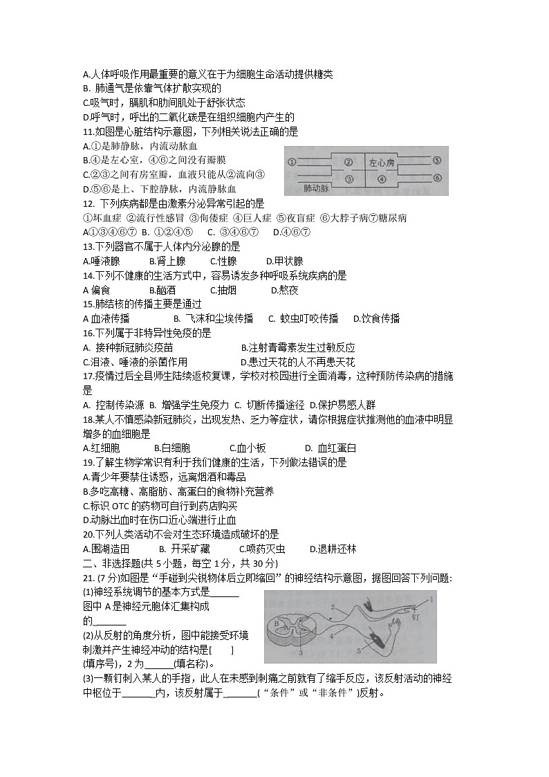 河南省商丘市柘城县2021-2022学年七年级下学期期末考试生物试题(word版含答案)第2页