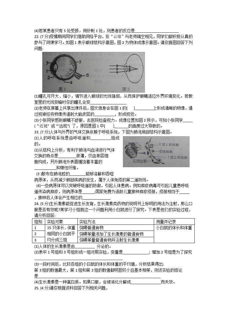 河南省商丘市柘城县2021-2022学年七年级下学期期末考试生物试题(word版含答案)第3页
