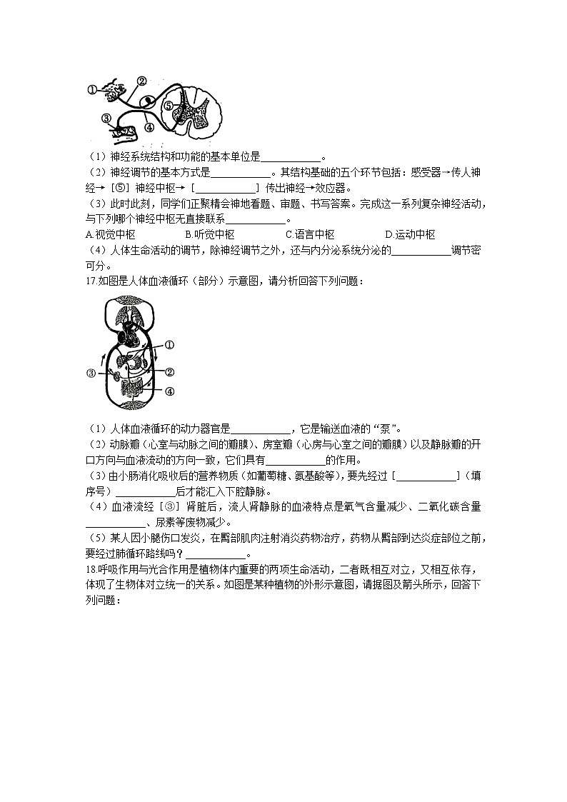湖北省襄阳市枣阳市2021-2022学年七年级下学期期末生物试题(无答案)第2页