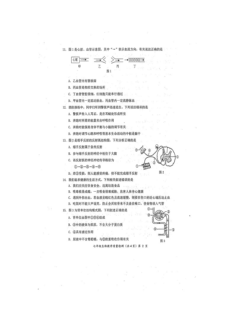 广西防城港市2021-2022学年七年级下学期期末教学质量检测生物试题（含答案）第2页