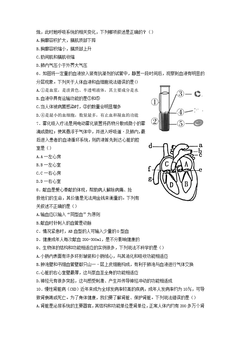 河南省周口市扶沟县2021--2022学年七年级下学期期末生物试卷（含答案）第2页