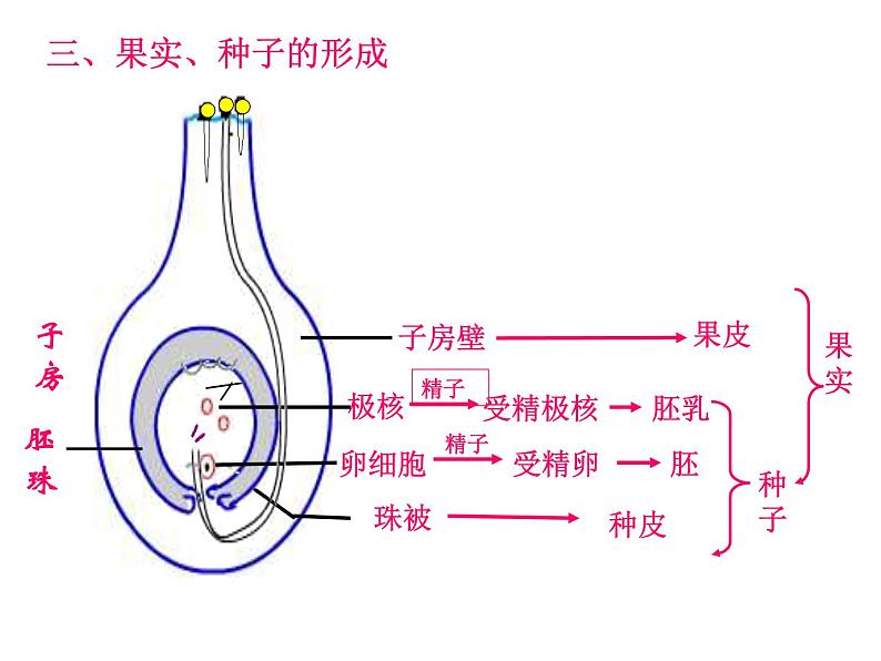 济南版生物八年级上册总复习第4页