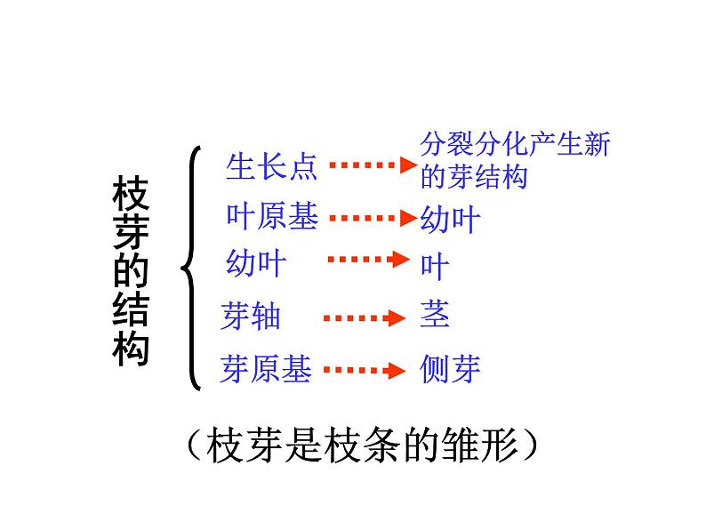 济南版生物八年级上册总复习第8页