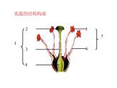 济南版生物八年级上册总复习 重要图示 课件试卷