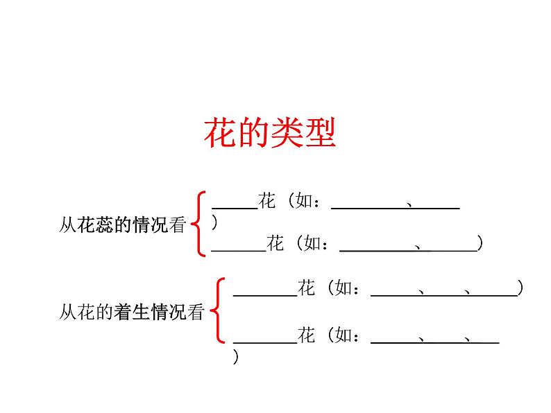 济南版 生物 八上 复习课件 重要图 空白检查第3页