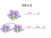 济南版生物八年级上册总复习 重要图示 课件试卷